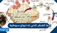 ما الفطر الذي له ابواغ سوطية