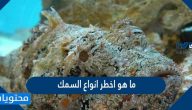 ما هو اخطر انواع السمك