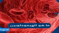 ما هو الهيموجلوبين