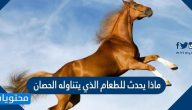 ماذا يحدث للطعام الذي يتناوله الحصان