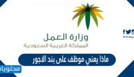 ماذا يعني موظف على بند الاجور