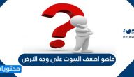 ماهو اضعف البيوت على وجه الأرض