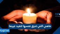 ما هي التي تحرق نفسها لتفيد غيرها