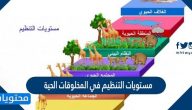 مستويات التنظيم في المخلوقات الحية