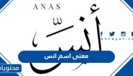 معنى اسم انس وصفات حاملة الاسم وحكم التسمية به في الإسلام