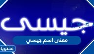 معنى اسم جيسي وصفات حامل الاسم وحكم التسمية به في الإسلام