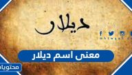 معنى اسم ديلار وحكم تسميته في الشريعة الإسلامية