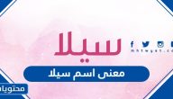 معنى اسم سيلا Sila وصفات حاملة الاسم وحكم التسمية به في الإسلام