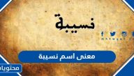 معنى اسم نسيبة وصفات حامل الاسم وحكم التسمية به في الإسلام