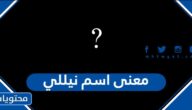 معنى اسم نيللي وصفات حامل الاسم وحكم التسمية به في الإسلام