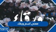 معنى اسم ورقاء وصفات حامل الاسم وحكم التسمية به في الإسلام