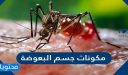 مكونات جسم البعوضة