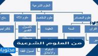 من العلوم الشرعية