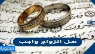 هل الزواج واجب