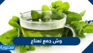 وش جمع نعناع