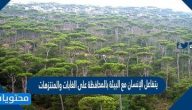يتفاعل الإنسان مع البيئة بالمحافظة على الغابات والمنتزهات