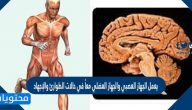 يعمل الجهاز العصبي والجهاز العضلي معاً في حالات الطوارئ والإجهاد صح أم خطأ
