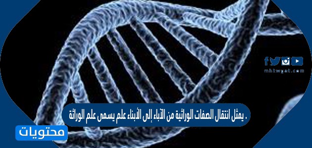 يمثل انتقال الصفات الوراثية من الآباء إلى الأبناء علم يسمى علم الوراثة . صح أم خطأ