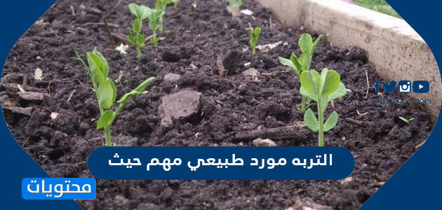 التربه مورد طبيعي مهم حيث موقع محتويات