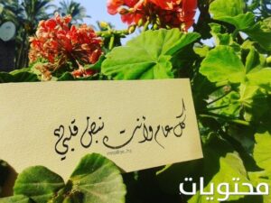بطاقات معايدة رأس السنة للحبيبة