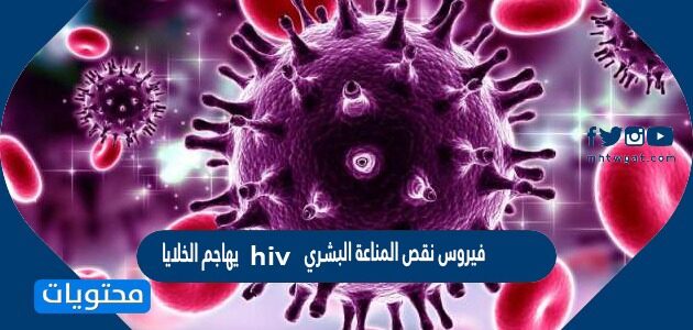فيروس نقص المناعة البشري hiv يهاجم الخلايا - موقع محتويات