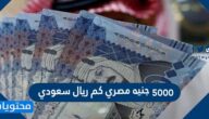 5000 جنيه مصري كم ريال سعودي
