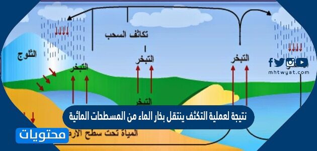 نتيجة لعملية التكثف ينتقل بخار الماء من المسطحات المائية إلى طبقات الجو صح أم خطأ