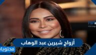 من هم أزواج شيرين عبد الوهاب