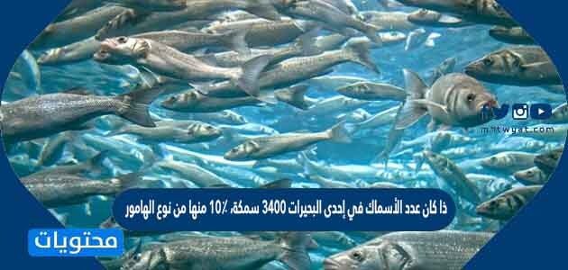 إذا كان عدد الأسماك في إحدى البحيرات ٣٤٠٠ سمكة، ١٠٪ منها من نوع الهامور، فإن عدد أسماك الهامور في البحيرة يساوي ٣٤٠ سمكة صح أم خطأ