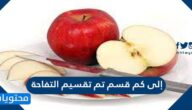 إلى كم قسم تم تقسيم التفاحة