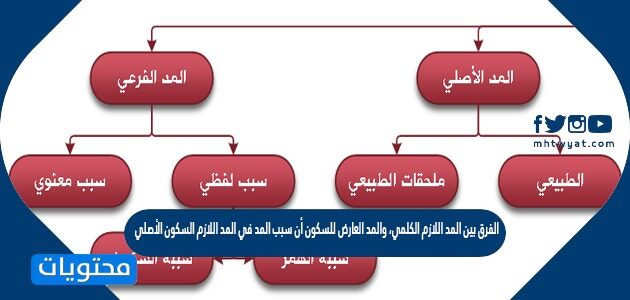 المد للسكون سبب العارض سبب المد