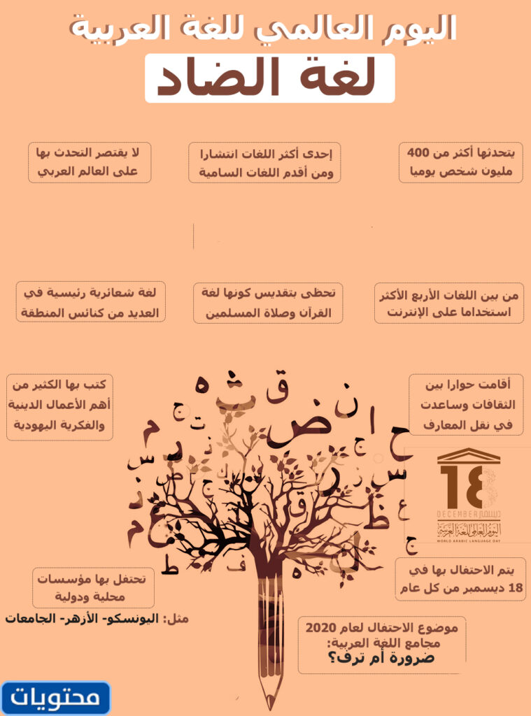كلمة عن اللغة العربية