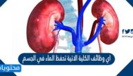 اي وظائف الكلية الاتية تحفظ الماء في الجسم