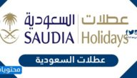 باقات العطلات التي تقدمها عطلات السعودية