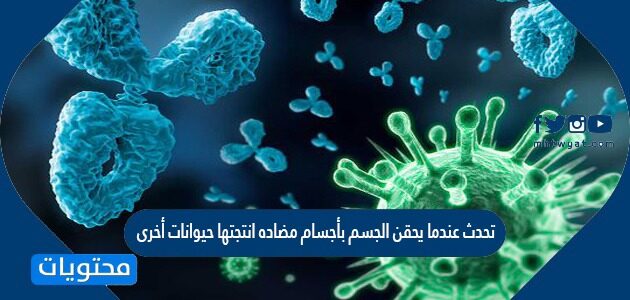 المناعة الاصطناعية هي مناعة تحدث عندما تأتي الأجسام المضادة من مصدر آخر.