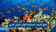 تحقق الشعب المرجانية التوازن البيئي البحري