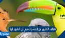 تختلف الطيور عن الحشرات في ان الطيور لها