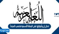 تدخل إن وأخواتها على الجملة الاسمية فتنصب المبتدأ ويسمى اسمها وترفع الخبر ويسمى خبرها