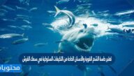 تعتبر حاسة الشم القوية والأسنان الحادة من التكيفات السلوكية في سمك القرش