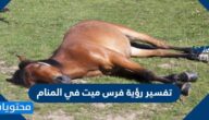تفسير رؤية فرس ميت في المنام