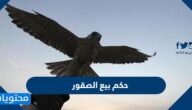 حكم بيع الصقور