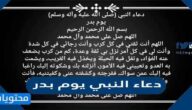 دعاء النبي يوم بدر
