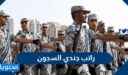 كم راتب جندي السجون 1448 في السعودية
