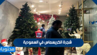 تفاصيل وصور شجرة الكريسماس في السعودية 1443