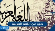 صور عن اللغة العربية