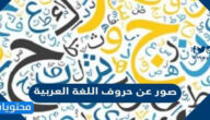 صور عن حروف اللغة العربية