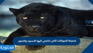 فصيلة الحيوانات التي تنتمي اليها الاسود والنمور