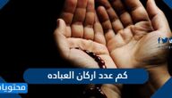 كم عدد اركان العباده