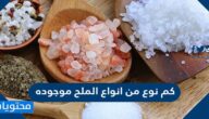 كم نوع من أنواع الملح موجوده