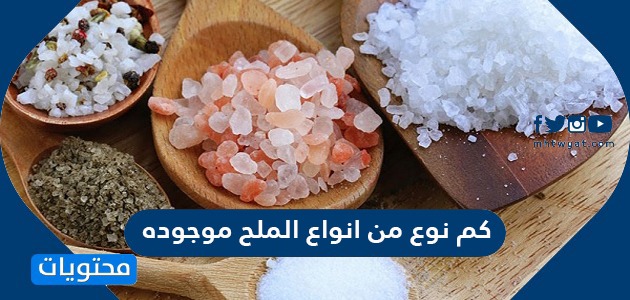 كم نوع من أنواع الملح موجوده